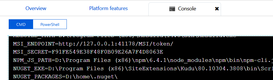 Environment Variables to access the AD registration